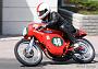 Barneveld 2009 Henk Morren 055 